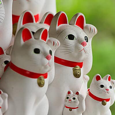 statues de maneki Neko blancs dans temple japonais