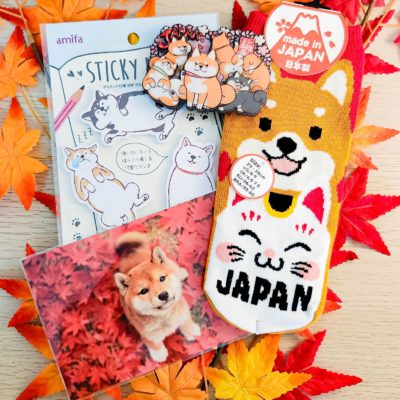 Tous nos produits japonais et coréens - Papeterie japonais et coréen -  Carte postale japonaise Animaux